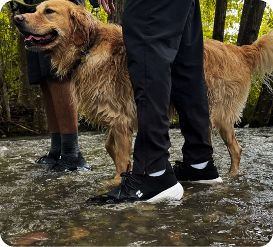 Waterproof Trekking Shoes for Men: Why Oszea Is the Only Pair You Need in NZ & AUS