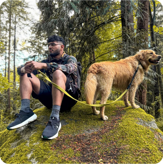 Dog Walk Ready